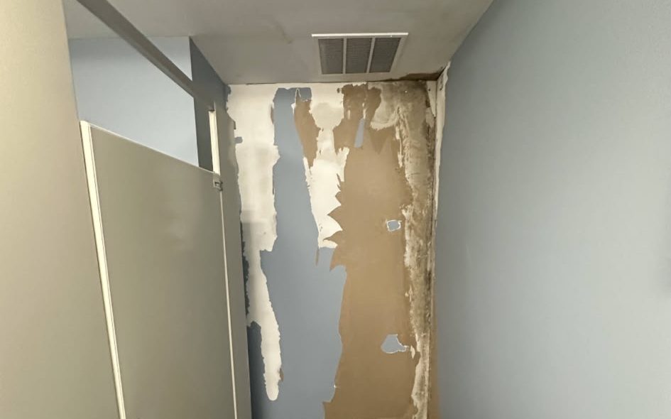 Commercial restroom wall with peeling paint and exposed drywall paper